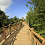 Boardwalk at Vidanta Riviera Maya