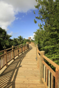 Boardwalk at Vidanta Riviera Maya